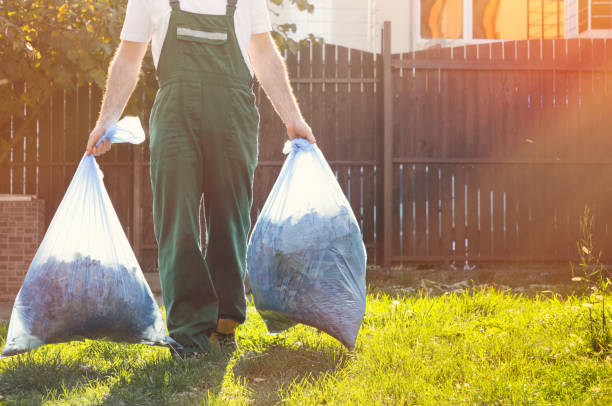 Best Carpet Removal and Disposal  in North East, MD